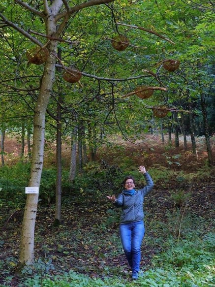 Kunstobjekt Mobile "Gleichgewicht in der Natur"