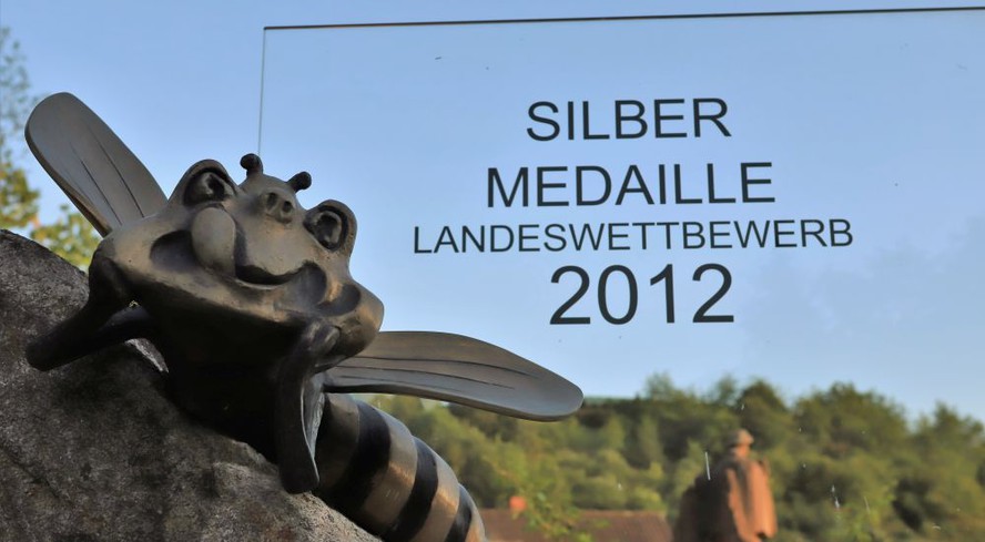 Bild Silbermedaille Landeswettbewerb