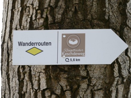 Keschdeweg Einfachpfeil mit gelber Raute