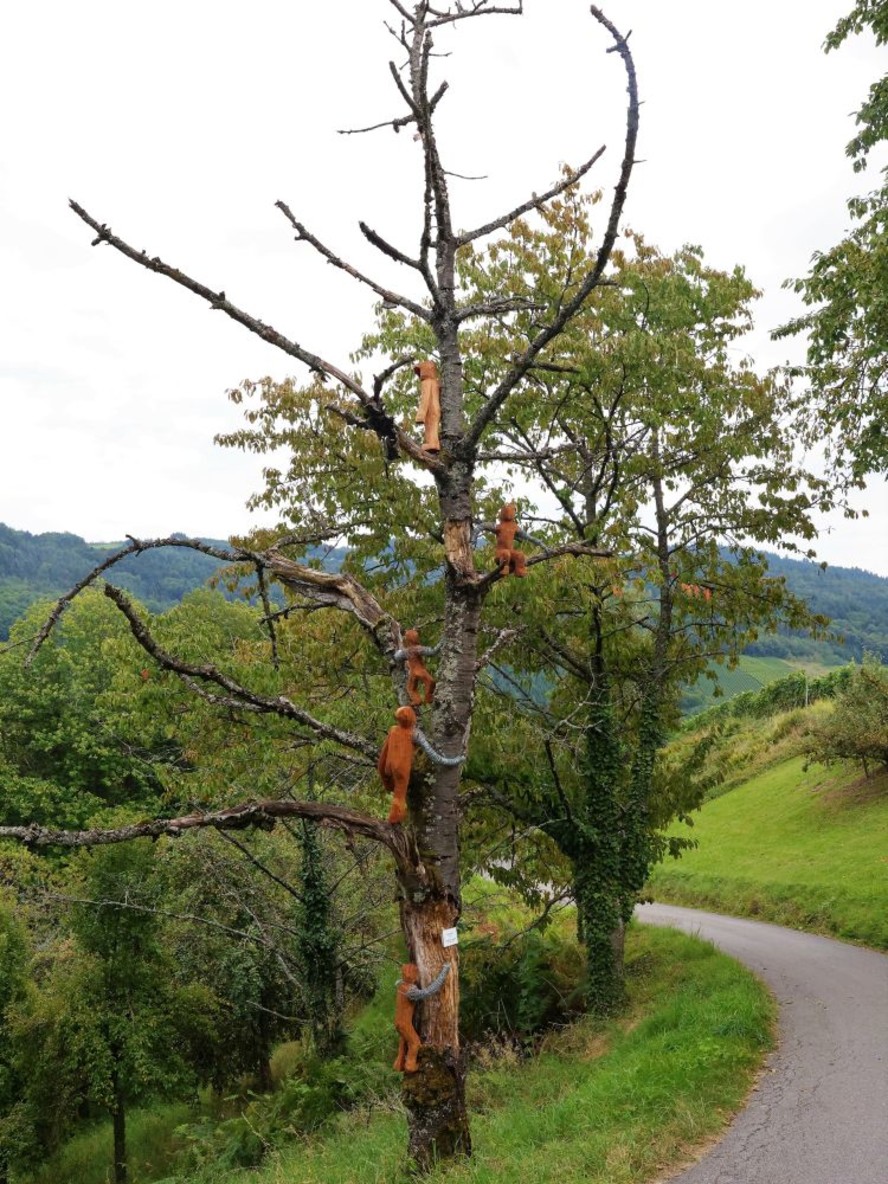 Installation "Schöne Aussicht" von Christoph Widmer